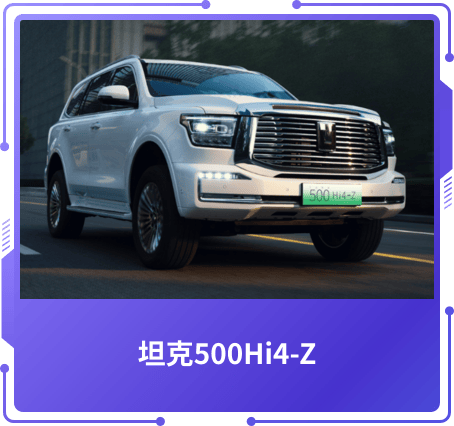最佳新能源奖